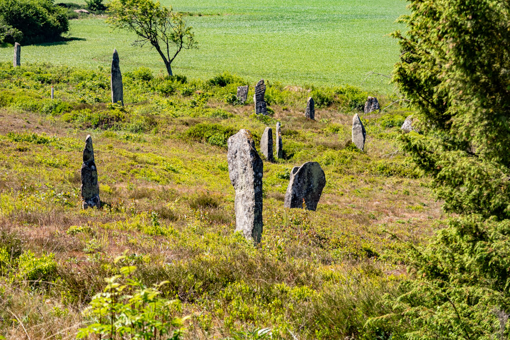 Gamla gravstenar på Li gravfält