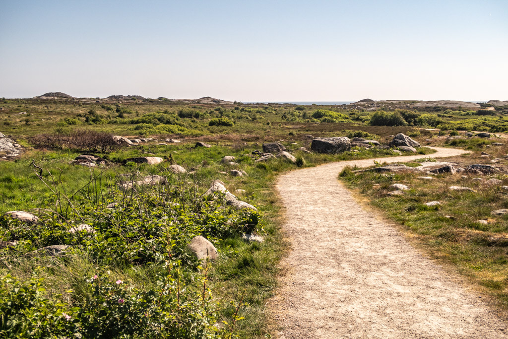 Lätt vandringsled i Näsbokroks naturreservat