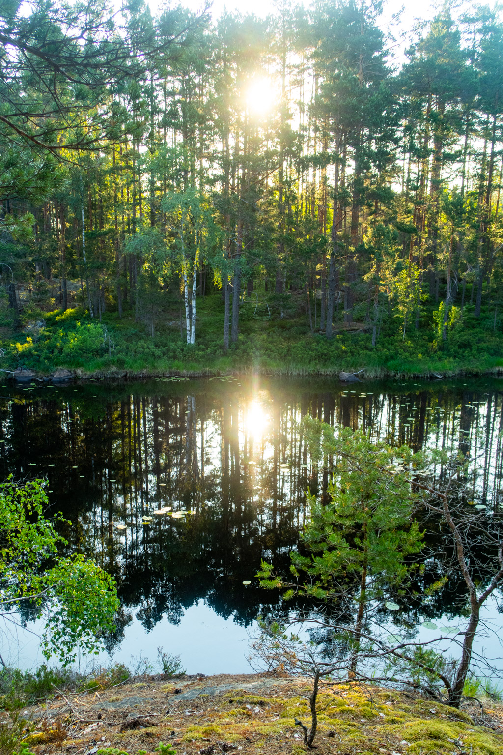 Soluppgång vid Mögsjön