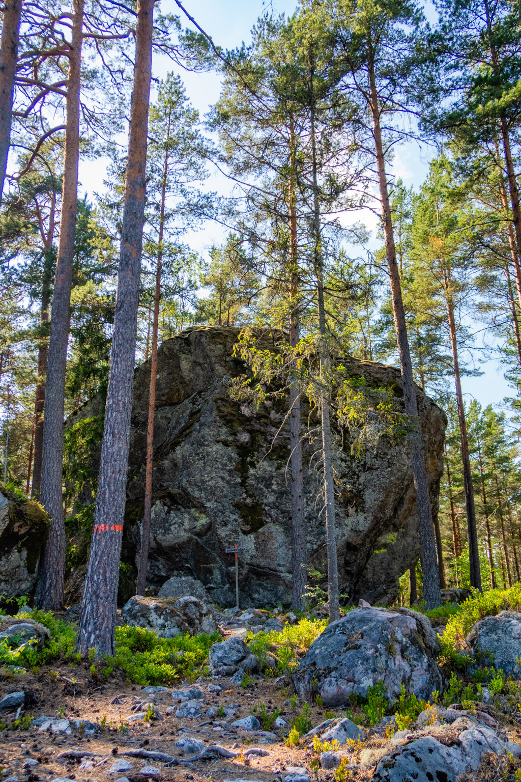 Foto av Vigors kyrka, en stor sten i skogen