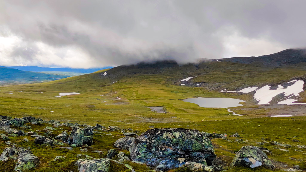 Mulen dag i Jämtlandsfjällen