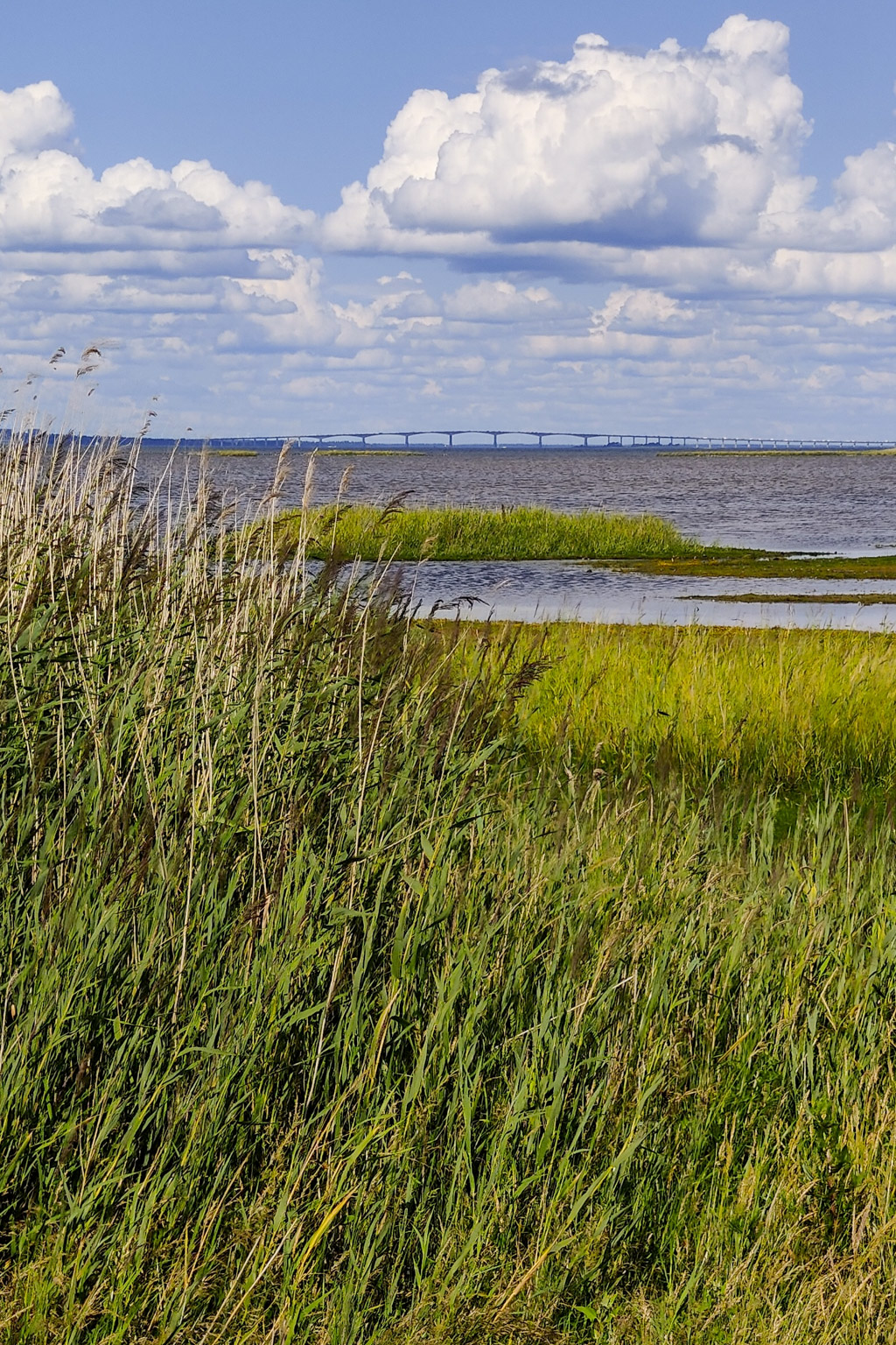 Utsikt över Ölandsbron från Beijershamn