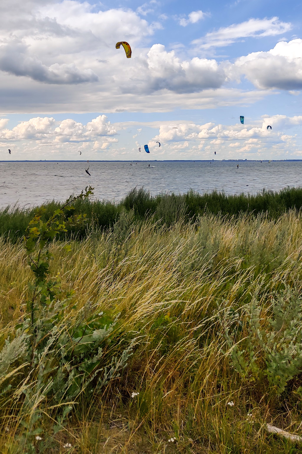 Kitesurfare på Ölands västkust