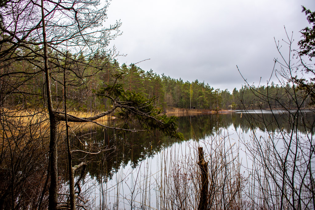 Strussjön där man kan ana ett vindskydd en bit bort på en udde.
