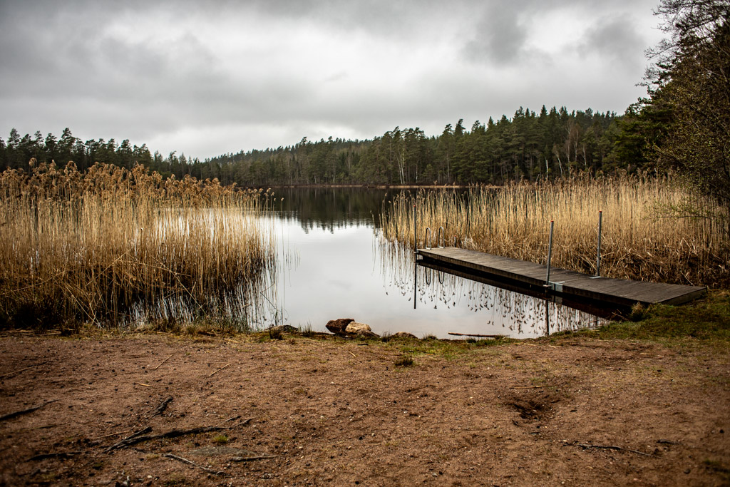 Liten vik med sandstrand och brygga. Vass växer på sidorna.